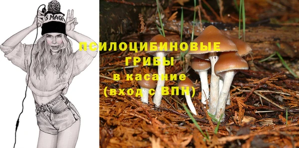 гидропоника Абаза