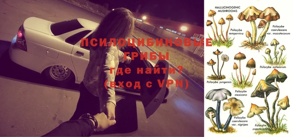 гидропоника Абаза