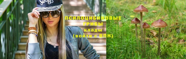 винт Абинск