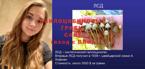 винт Абинск