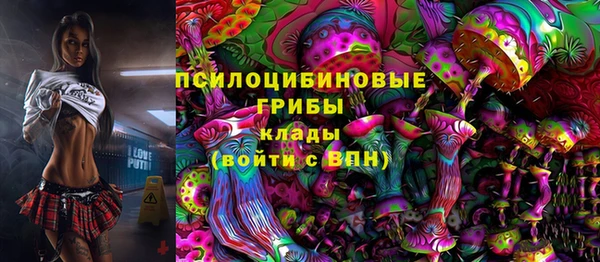 гидропоника Абаза